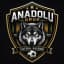 ANADOLU GRUP BETON logosu