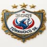 TÜRKGÜCÜ SK logosu